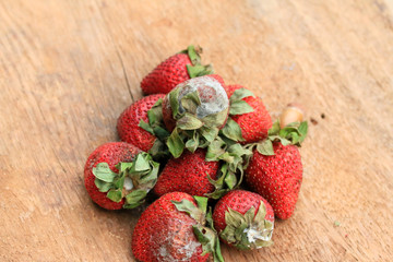 Strawberry rotten on wood vintage