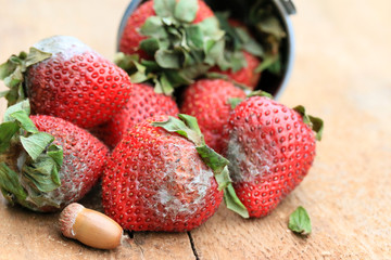Strawberry rotten on wood vintage