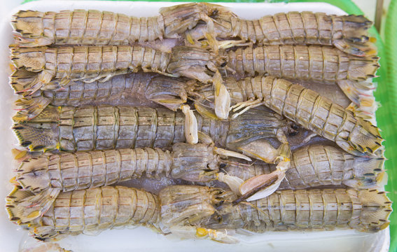 very fresh crustaceans called mantis shrimp for sale in fish mar