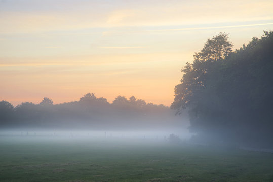 Misty landscape during sunrise in English countryside landscape