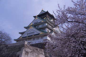 Osaka castle with cherry blossom. Japanese spring beautiful scene.