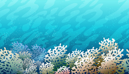Fototapeta na wymiar Coral Reef Pattern
