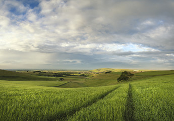 Beautiful panorama landscape South Downs countryside in Summer