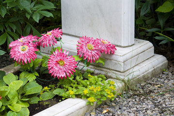 Flowers on the grave.