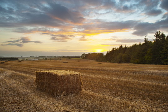 Hay bale at sunset, Broadway, The Cotswolds, Gloucestershire 