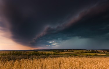 Fototapeta na wymiar Storm clouds over wheat field.
