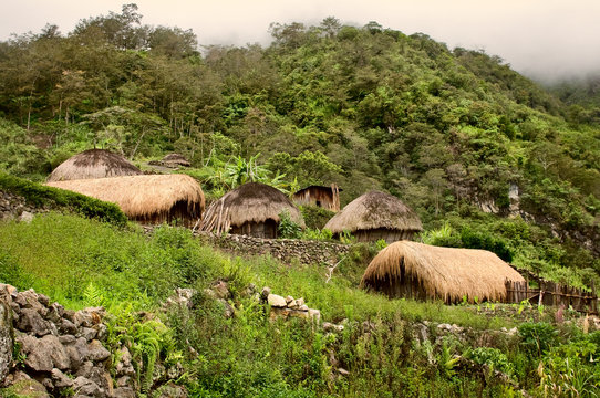A traditional village in Papua