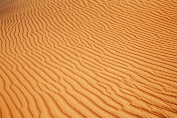 Red sand desert