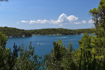 Fototapeta na wymiar Kroatien 2015 - Blick von der Insel Rab