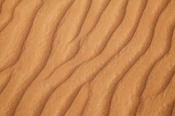 Red sand desert