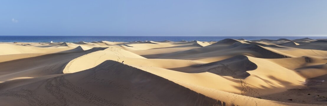 Panorama of the sand dunes of Maspalomas, Maspalomas, Gran Canaria, Canary Islands, Spain, Atlantic