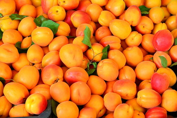 the apricots on the market - 88317539