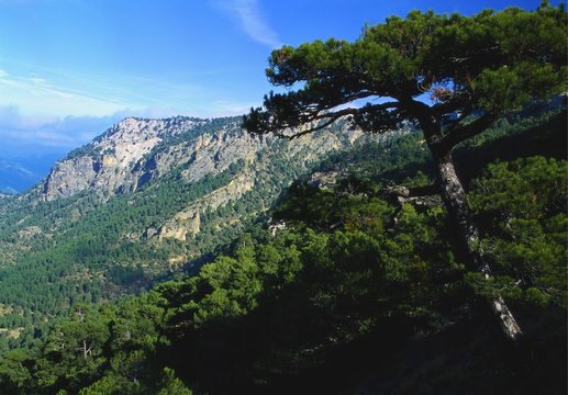 Cazorla National Park, Sierra del Pozo, Andalucia, Spain