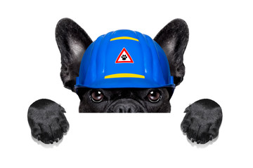 handyman dog