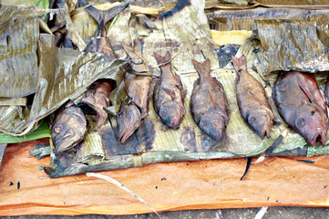 Pesce delle isole Kavieng, Papua Nuova Guinea