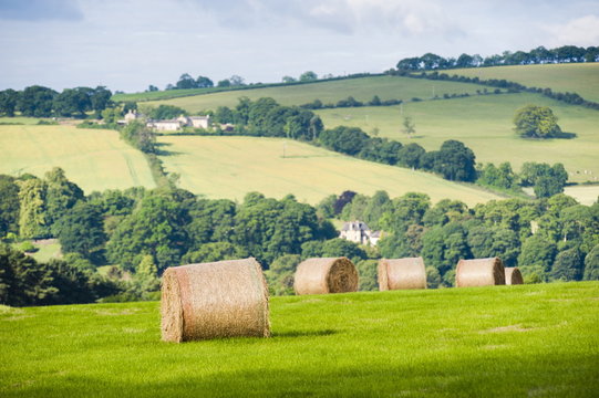 Hay bale landscape, Northumberland National Park, near Hexham, Northumberland