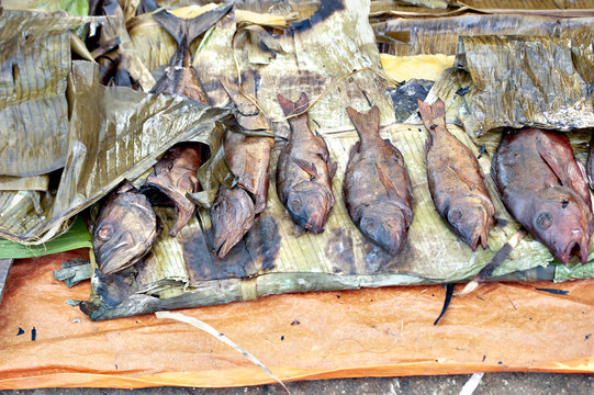 Pesce delle isole Kavieng, Papua Nuova Guinea