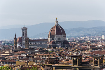 Fototapeta na wymiar Urban view of Florence - Italy