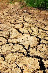 Dried earth