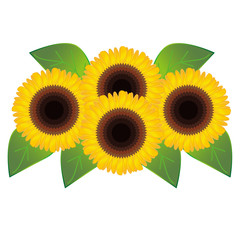 向日葵(フラワーアレンジメント)