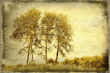 Grunge sepia background with trees