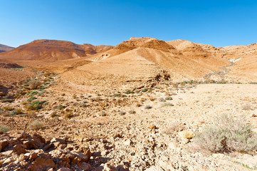 Rocky Hills
