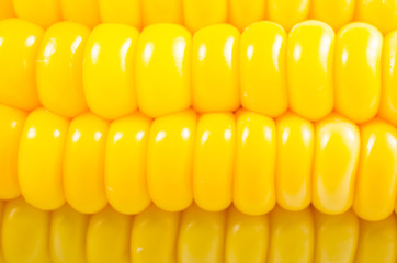 background of  yellow fresh corn texture