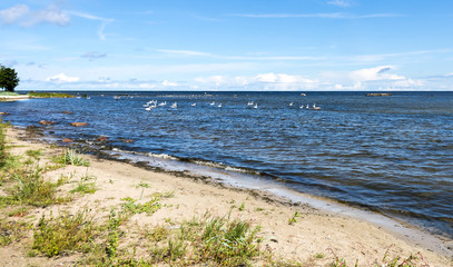 Coastal landscape by summer, Baltic Sea, Latvia