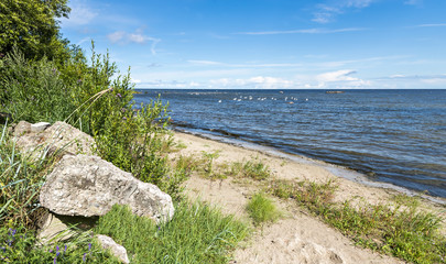 Coastal landscape at the Baltic Sea by summer, Latvia