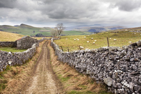 The Pennine Bridle Way near Stainforth in Ribblesdale, Yorkshire Dales, Yorkshire