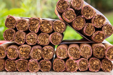Zigarren aus Brasilien in Nahaufnahme