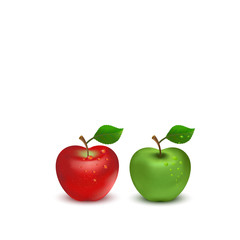 Red apple and green apple