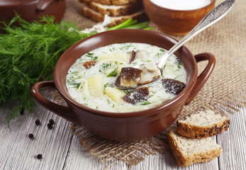 Mushroom soup