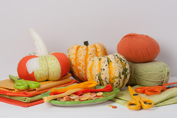 Handmade Pumpkin. Organic Harlequin Squash. Tailoring Hobby Acce