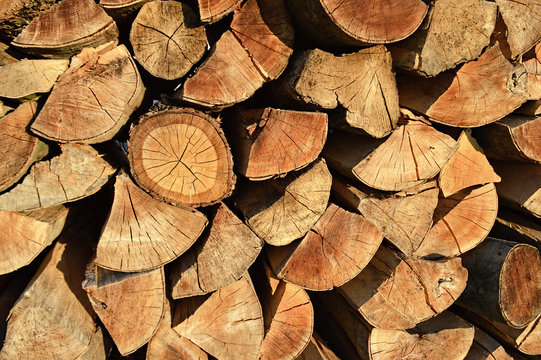 Dry chopped firewood logs on pile
