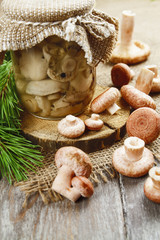 Canned mushrooms