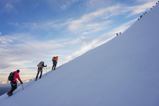 Climbers nearing the summit of Mont Blanc, 4810m, Chamonix, Rhone Alps, Haute Savoie, France