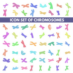 human chromosome