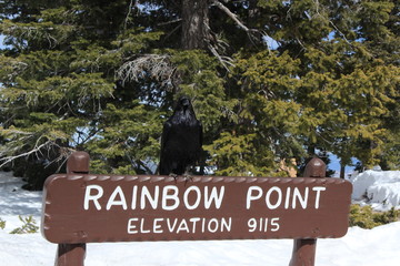 アメリカのブライスキャニオン国立公園