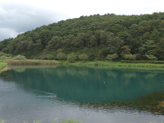 緑が池