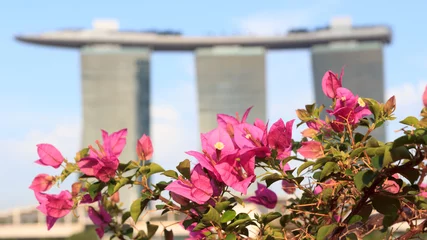 Tuinposter Orchids and Marina Bay Sands hotel, Singapore © johannes86
