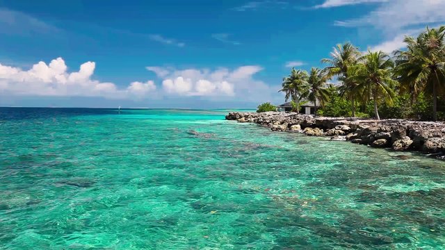 Few palm trees over tropical lagoon with white beach
