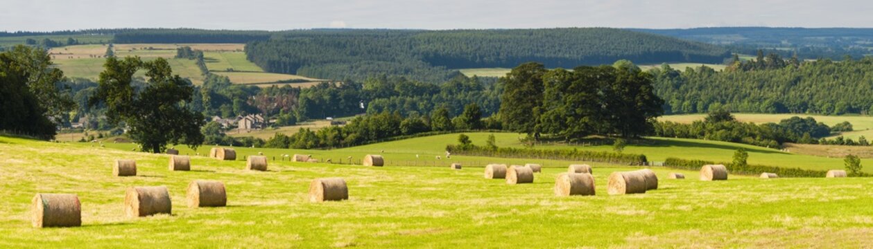 Hay bale landscape in Northumberland National Park, near Hexham, Northumberland