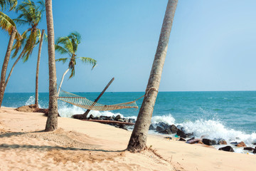 Hammock on Tropical Beach