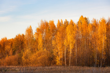 Obraz premium Nature landscape in autumn colors