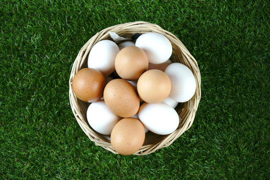 eggs in basket on yard