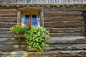 Fototapeta na wymiar altes Bauernhaus mit blumen