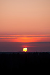 Sun setting over forest