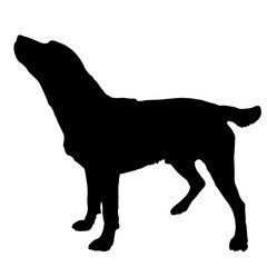 Vector silhouette of a dog.