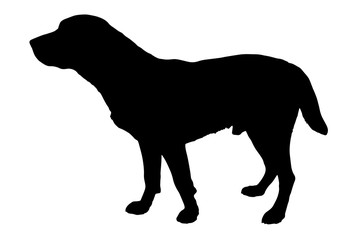 Vector silhouette of a dog.